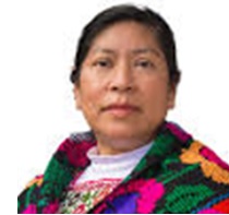 En la imagen se muestra una mujer indigena, portando un chal artesanal y un fondo de color blanco, ella es Amalia Bonifacio Jacinto defensora de los derechos indigenas y de la igualdad de género, ha dedicado su trayectoria a la construcción de espacios de autonomía y desarrollo. Como abogada, activista y política, impulsa la representación de las mujeres en la toma de decisiones.